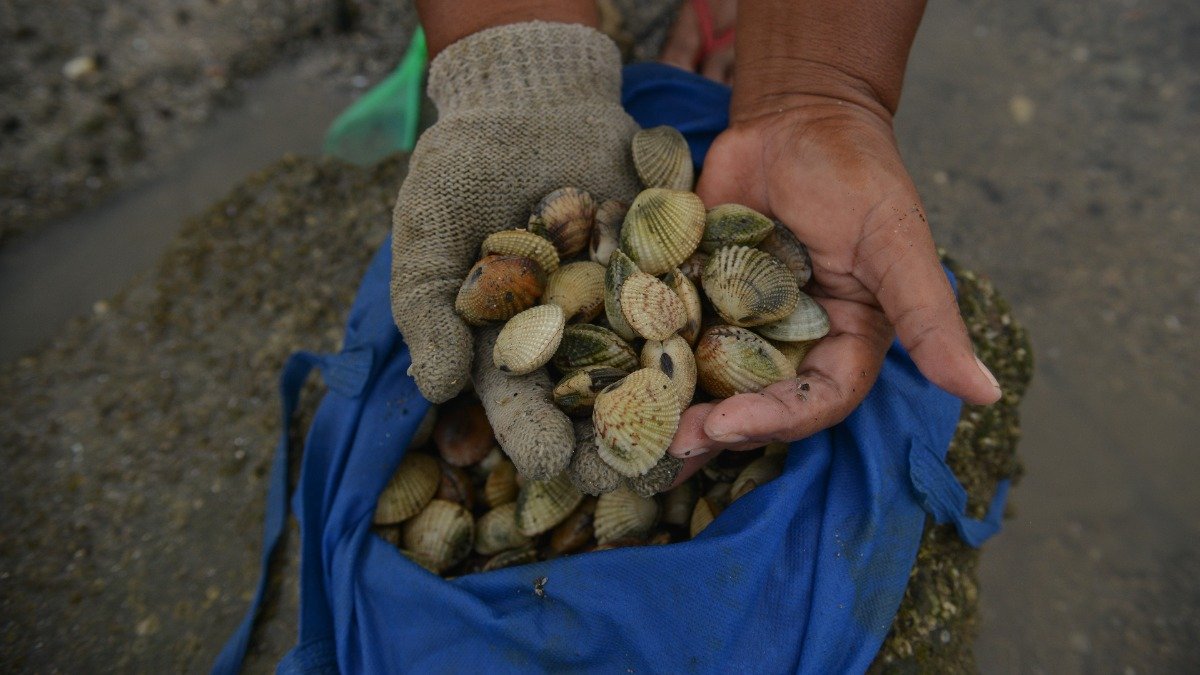 KLH Batalkan Gugatan Dugaan Pencemaran Muara Badak Kaltim: Ini Alasannya dan Dampaknya Buat Nelayan